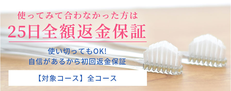 公式】奇跡の歯ブラシ｜1本400円〜（初回送料無料）